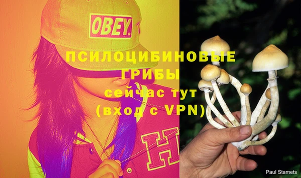 jwh Кукмор