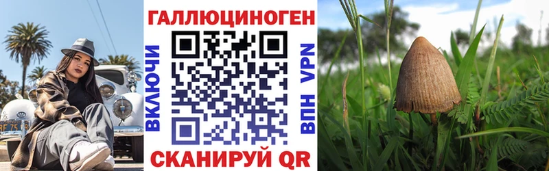 Галлюциногенные грибы мицелий  где купить наркоту  Сясьстрой 